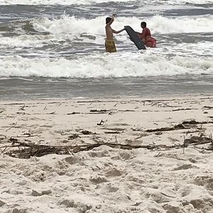 Meet your Posher, Desi